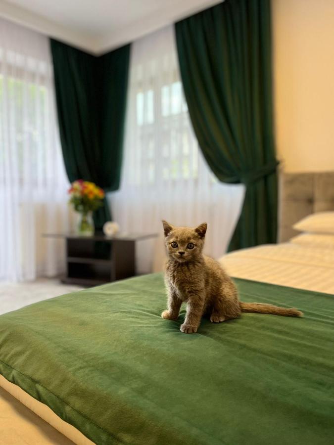 Vila Calimanel Hotel Vatra Dornei Luaran gambar